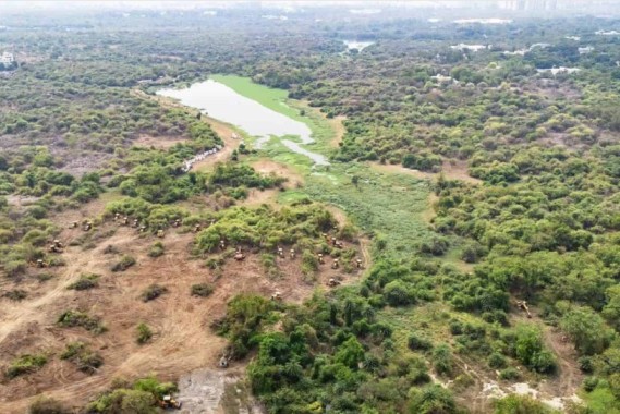 SC Grants Telangana Govt Six Weeks to Submit Proposal for Kancha Gachibowli Restoration