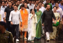 Mamata Banerjee Human Rights West Bengal Politics
