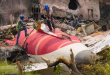 Air India crash, Boeing 787 crash