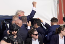 Trump assassination attempt
