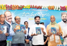 Revanth Reddy, Telangana development vision