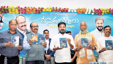 Revanth Reddy, Telangana development vision