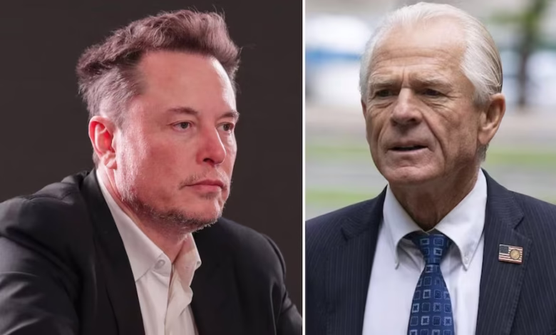 Elon Musk on X Fact-Check of Trump Aide’s Anti-India Post