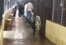 Hyderabad Koti ENT Hospital flood, Telangana heavy rain hospital crisis, Harish Rao slams Congress govt
