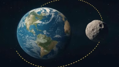 Scientists Discover Baby Moon Orbiting the Sun Near Earth