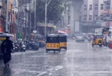 TG Weather Heavy rains for five days in Telangana.. Yellow alert issued for these districts