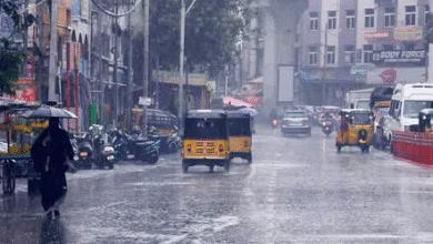 TG Weather Heavy rains for five days in Telangana.. Yellow alert issued for these districts