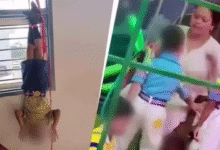 School Student Punishment in Haryana, Panipat School Incident, Child Safety in Schools, Principal and Driver Arrested