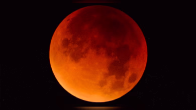 India will witness a total lunar eclipse on September 7–8, 2025