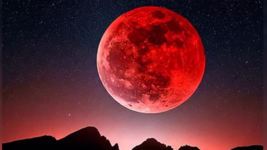 Lunar Eclipse 2025 What Students Need To Know About The "Blood Moon