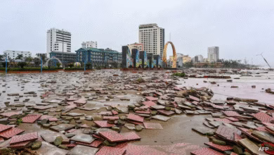 Vietnam Typhoon Bualoi deaths, Typhoon Bualoi Vietnam missing fishermen