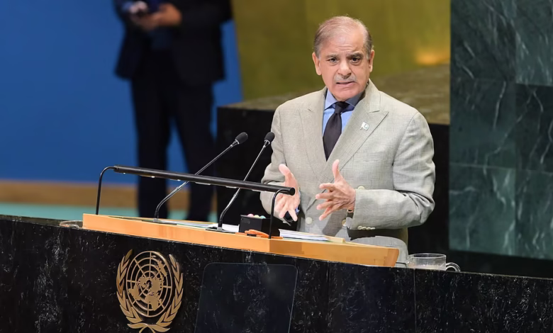 Pakistan PM Shehbaz Sharif, UNGA speech, India-Pakistan dialogue, Kashmir issue, Operation Sindoor